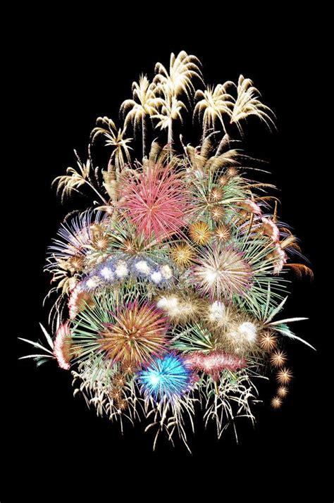 煙火花風水|2021過新年放煙火.這煙火花開的很旺! Fireworks Flower